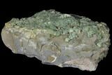 Green Prehnite Crystal Cluster on Rock - Morocco #127505-1